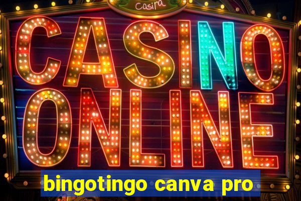 bingotingo canva pro